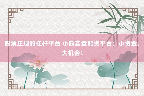 股票正规的杠杆平台 小额实盘配资平台：小资金，大机会！