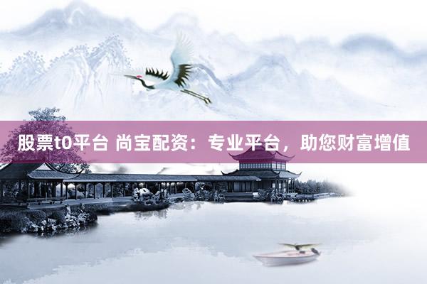 股票t0平台 尚宝配资：专业平台，助您财富增值