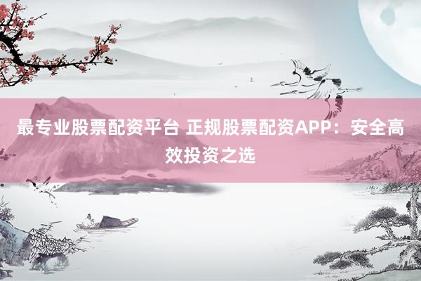 最专业股票配资平台 正规股票配资APP：安全高效投资之选