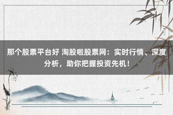 那个股票平台好 淘股啦股票网：实时行情、深度分析，助你把握投资先机！