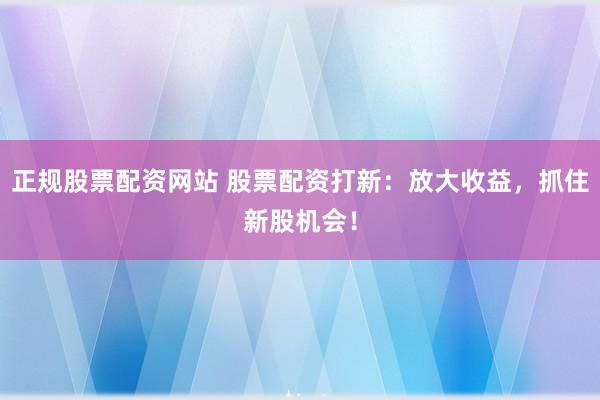 正规股票配资网站 股票配资打新：放大收益，抓住新股机会！