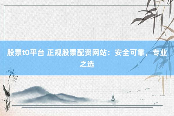 股票t0平台 正规股票配资网站：安全可靠，专业之选