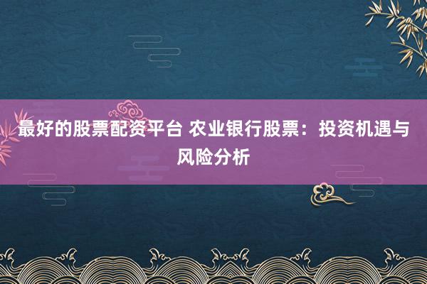 最好的股票配资平台 农业银行股票：投资机遇与风险分析