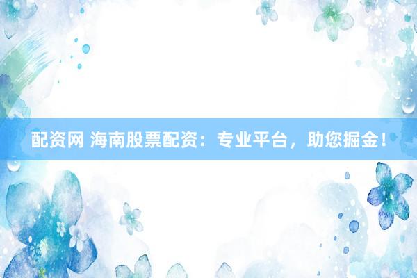 配资网 海南股票配资：专业平台，助您掘金！