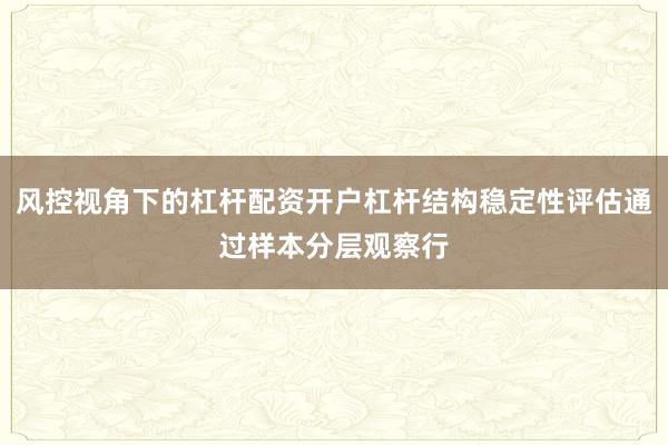 风控视角下的杠杆配资开户杠杆结构稳定性评估通过样本分层观察行