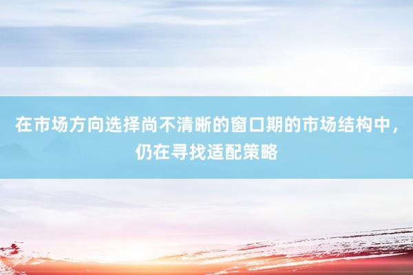 在市场方向选择尚不清晰的窗口期的市场结构中，仍在寻找适配策略