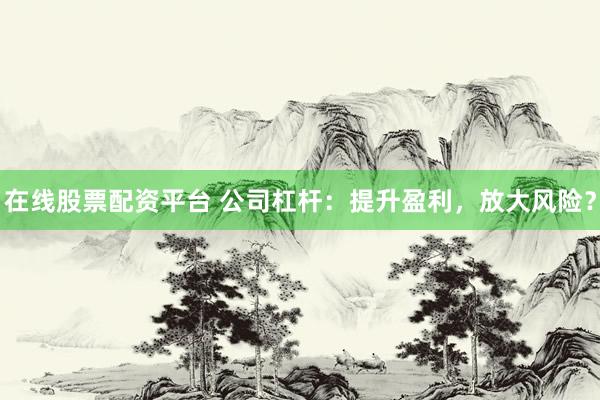 在线股票配资平台 公司杠杆：提升盈利，放大风险？