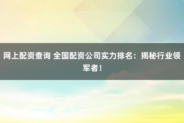 网上配资查询 全国配资公司实力排名:揭秘行业领军者!