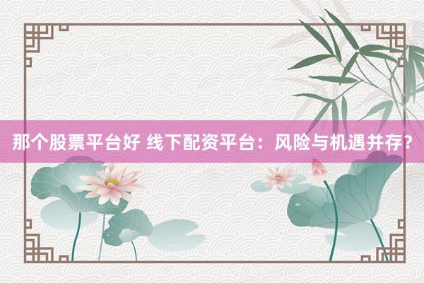 那个股票平台好 线下配资平台：风险与机遇并存？