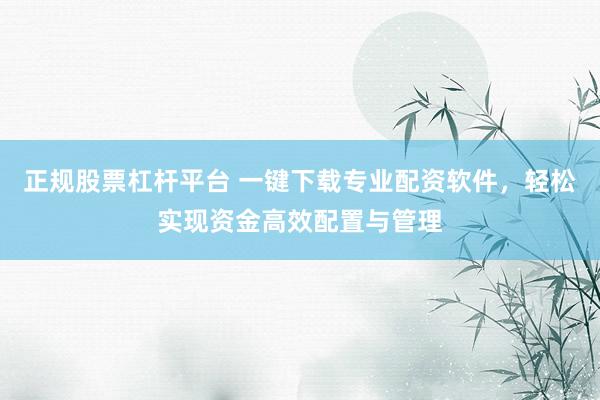 正规股票杠杆平台 一键下载专业配资软件，轻松实现资金高效配置与管理