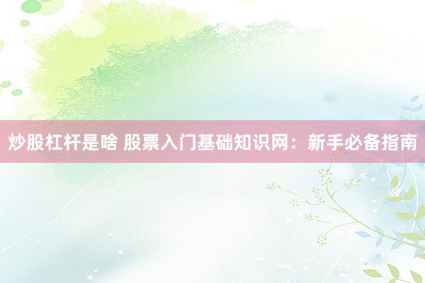 炒股杠杆是啥 股票入门基础知识网：新手必备指南
