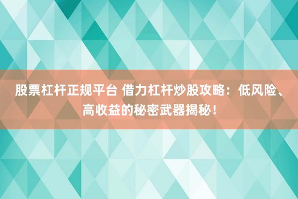 股票杠杆正规平台 借力杠杆炒股攻略：低风险、高收益的秘密武器揭秘！