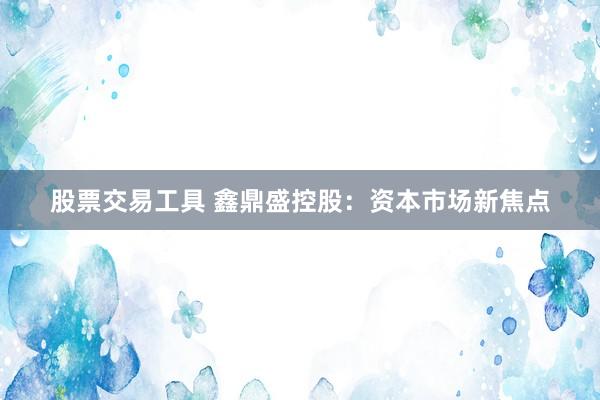 股票交易工具 鑫鼎盛控股：资本市场新焦点